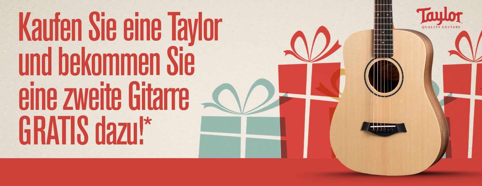 Taylor Guitars Promotion