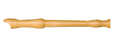 Mollenhauer 1042 Student